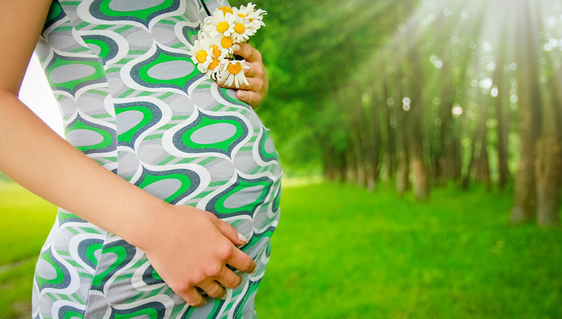 Partnering with Our Adoption Agency for Guidance and Care